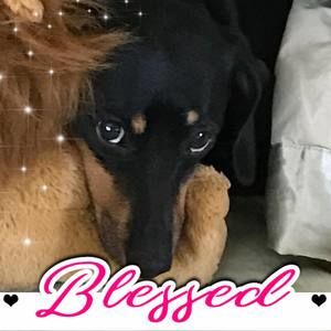 Meet your Posher, Michele